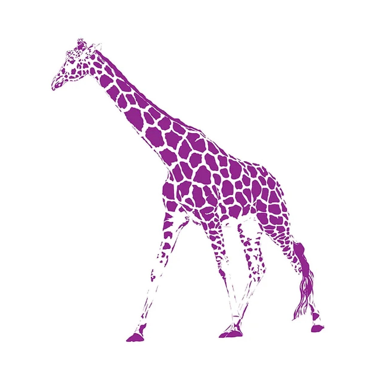 Giraffe Illustration
